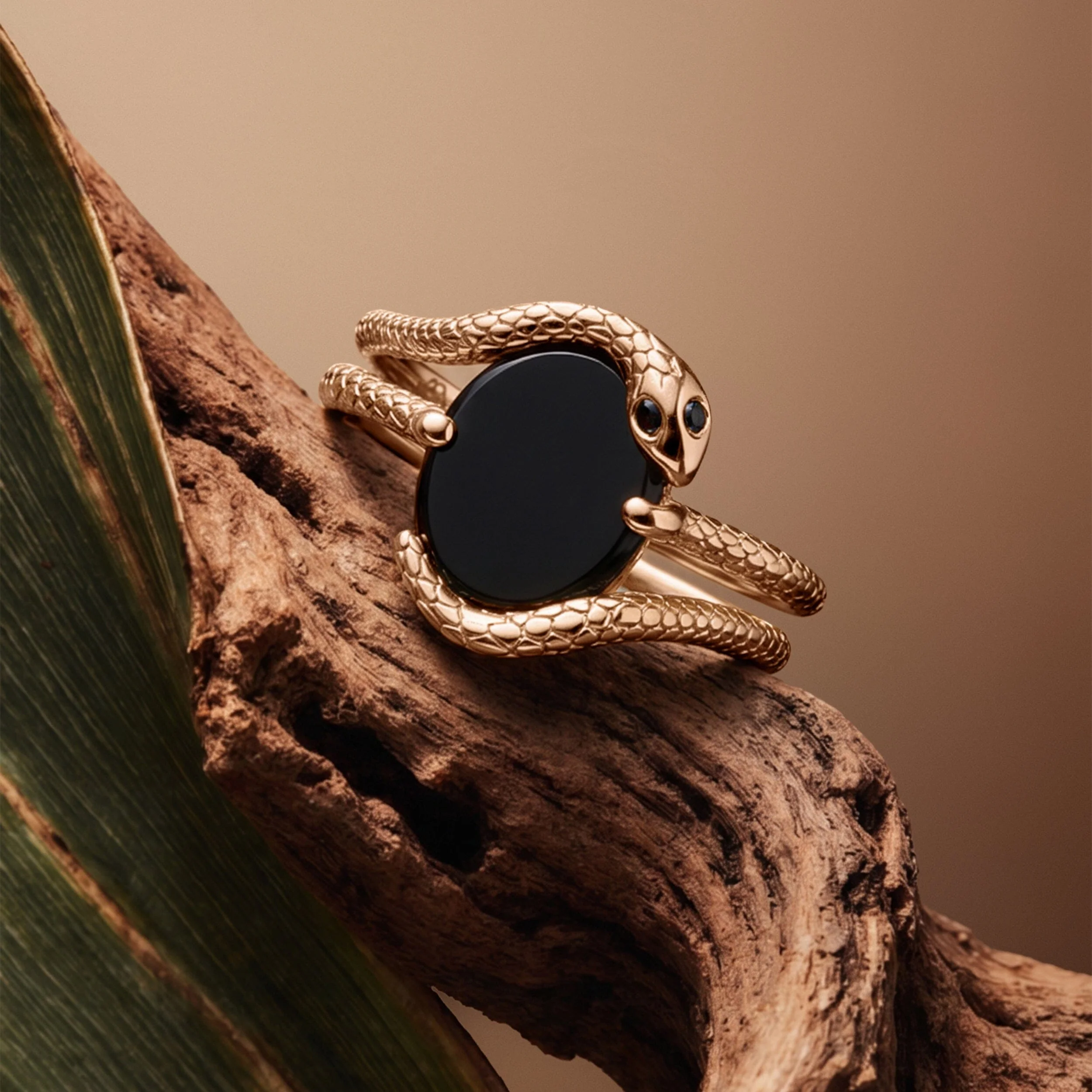Black Onyx Ring - Serpent of Release - Image 24